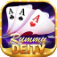 13 card rummy online logo