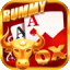 rummy nabob 41 logo