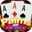 rummy dhan