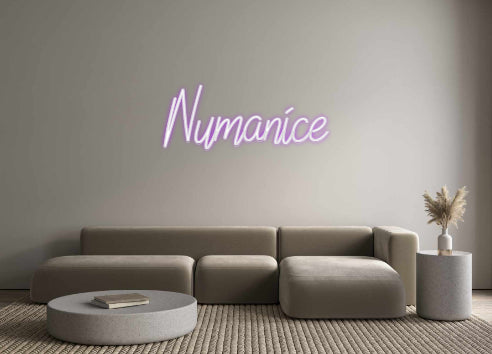 Custom Neon: Numanice