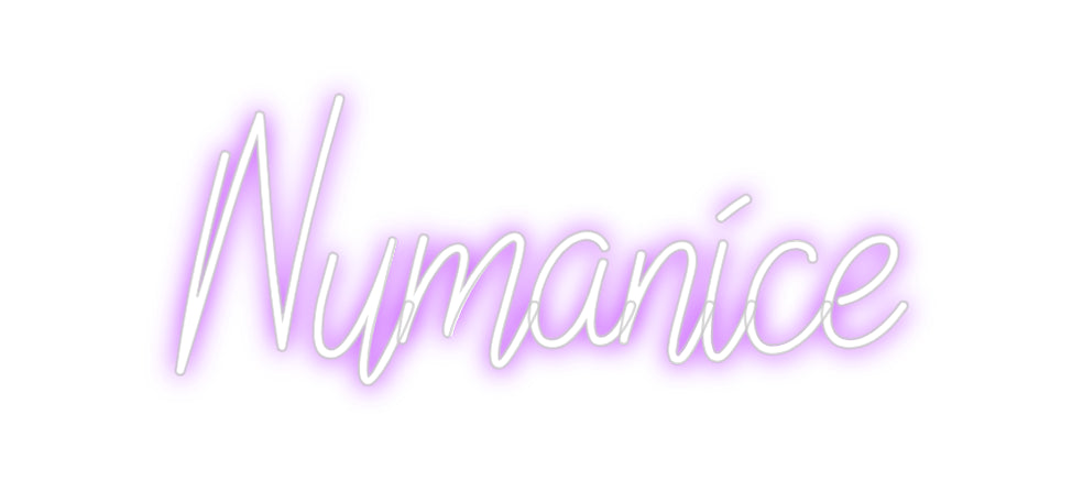 Custom Neon: Numanice