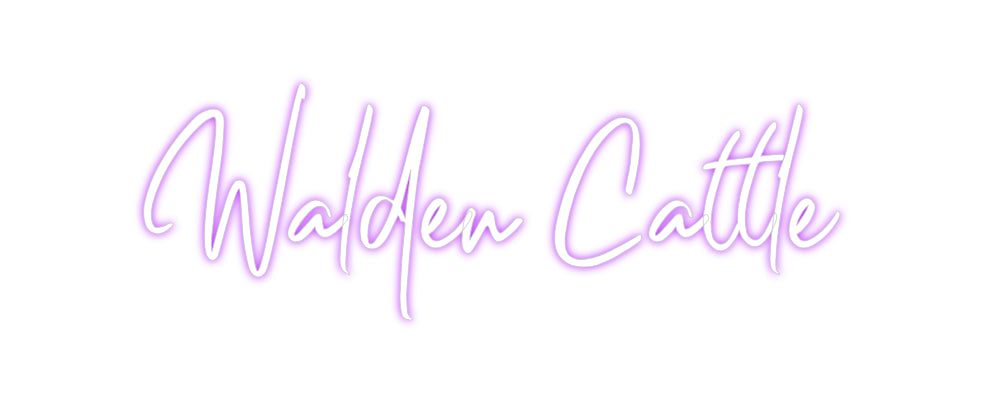 Custom Neon: Walden Cattle