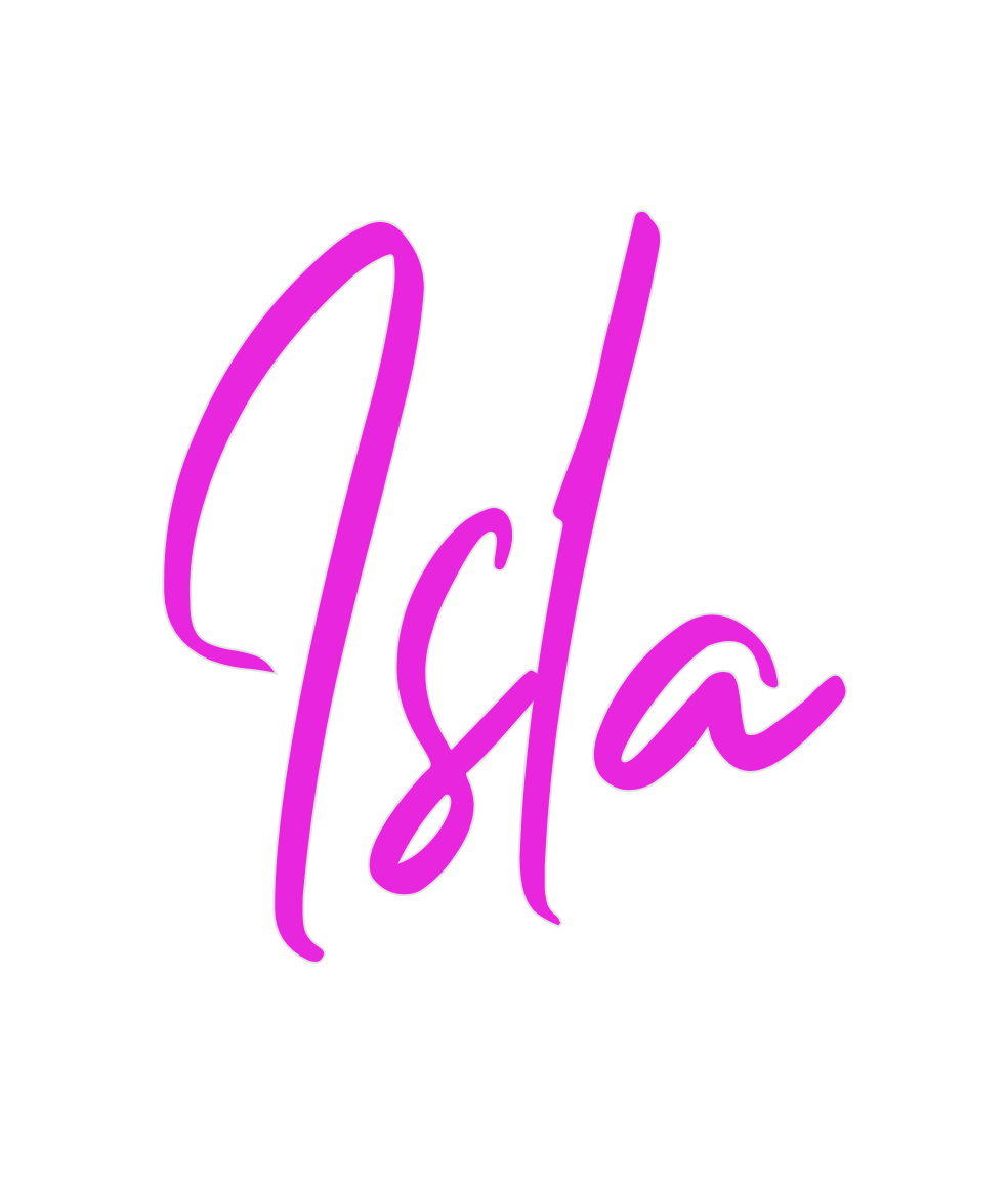 Custom Neon: Isla