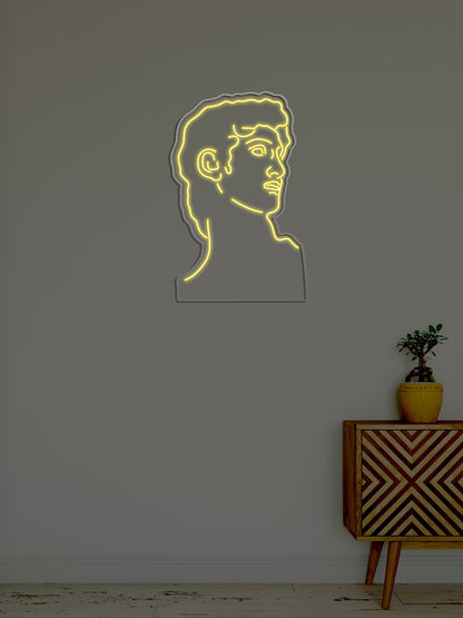 David Neon Sign (27.5 * 18.5 inch)