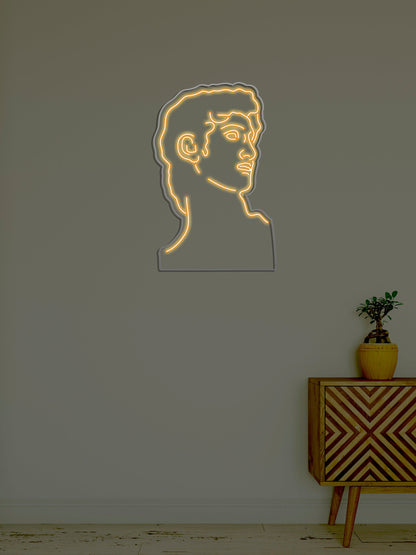David Neon Sign (27.5 * 18.5 inch)