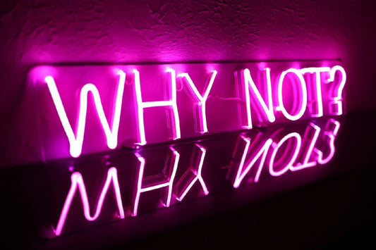 Why Not Neon Sign(20*4inch)